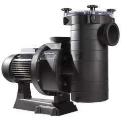 Насос Hayward HCP38303E3 KAP300 T1.B IE3 (380 В, 48 м3/год, 3 HP)