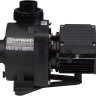 Насос Hayward HCP09203E KNG200 IE3 (380 В, 26.2 м3/год, 2 HP)
