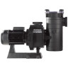 Насос Hayward HCP38353E3 KAP350 IE3 (380 В, 58 м3/год, 3.5 HP)